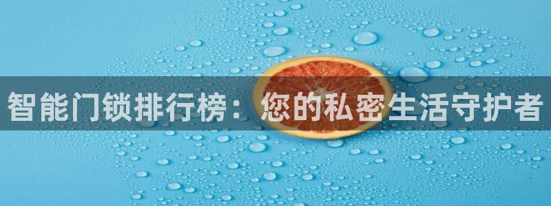 金年会娱乐app：智能门锁排行榜：您的私密生活守护者
