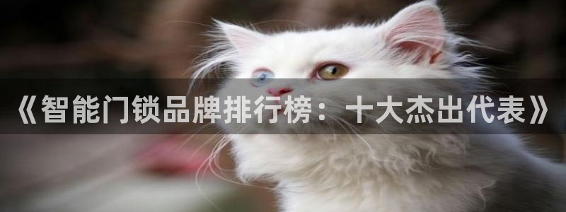澳门与金年会的关系：《智能门锁品牌排行榜：十大杰出代表》