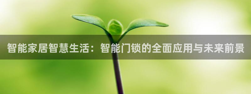 澳门娱乐金年会：智能家居智慧生活：智能门锁的全面应用与未来前