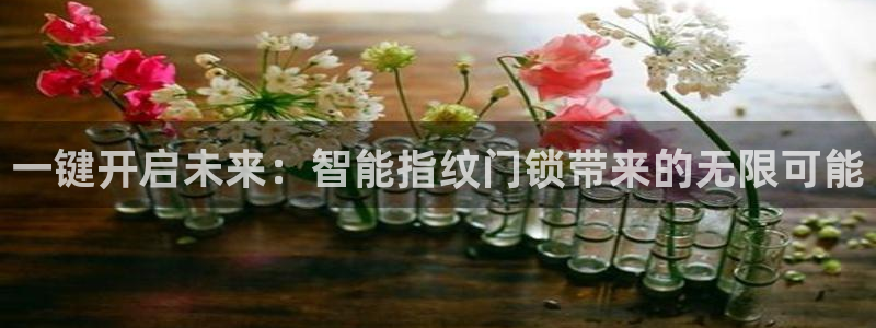 金年会首页登录：一键开启未来：智能指纹门锁带来的无限可能