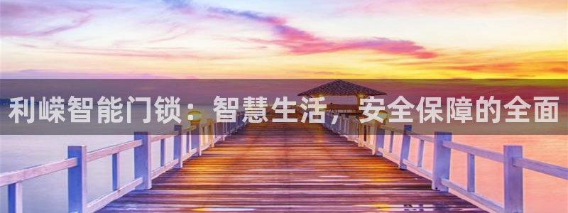 金年会体育app官网：利嵘智能门锁：智慧生活，安全保障的全面