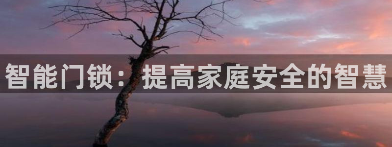 金年会平台出款：智能门锁：提高家庭安全的智慧