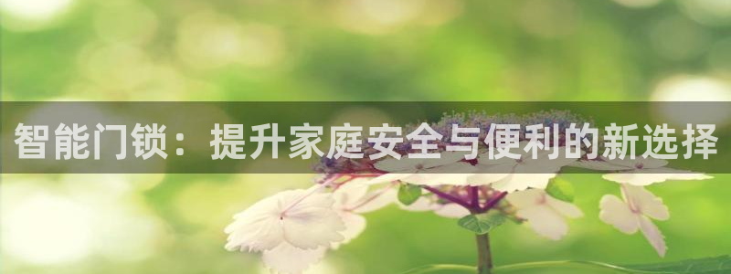 金年会官方入口