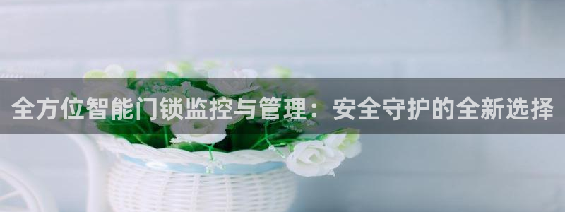 金联金年会
