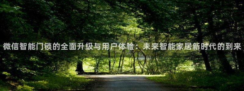 年会金：微信智能门锁的全面升级与用户体验：未来智能家居新时代