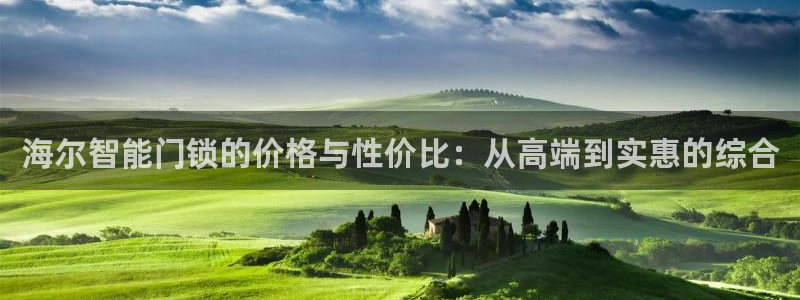 金升年会：海尔智能门锁的价格与性价比：从高端到实惠的综合