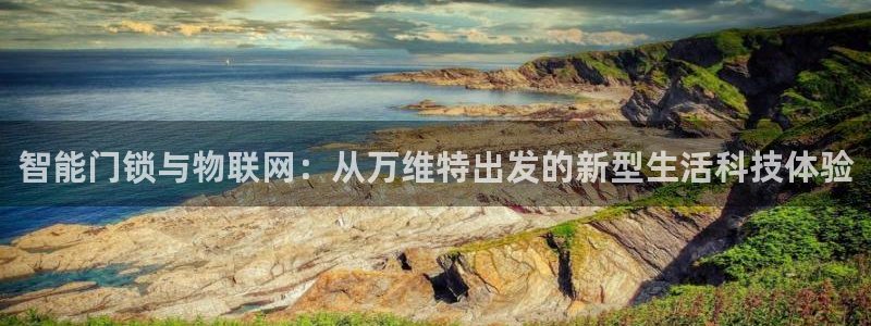 金年会最新官网：智能门锁与物联网：从万维特出发的新型生活科技