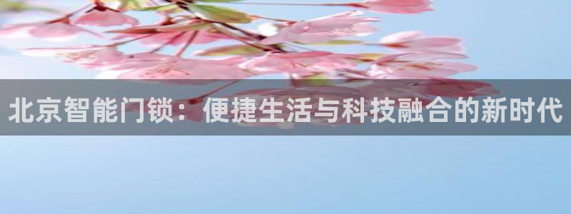 金年会体育平台在线登录：北京智能门锁：便捷生活与科技融合的新