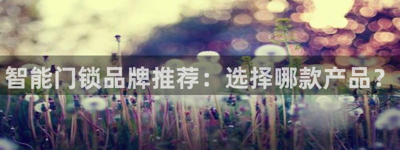 金年会官方网站登录：智能门锁品牌推荐：选择哪款产品？