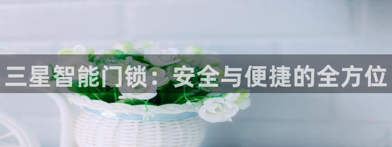 金年会下载官方：三星智能门锁：安全与便捷的全方位
