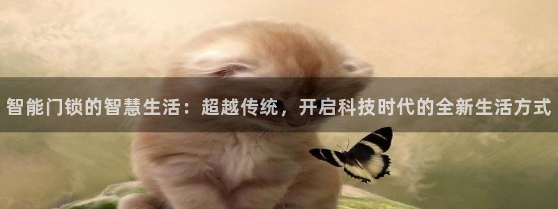 2022年金科年会：智能门锁的智慧生活：超越传统，开启科技时