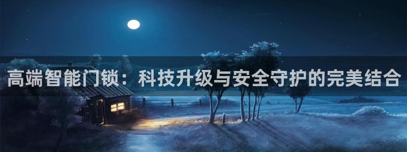 金年会18 28：高端智能门锁：科技升级与安全守护的完美结合