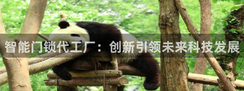 金年会提款：智能门锁代工厂：创新引领未来科技发展