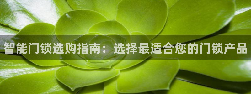 金年会入口：智能门锁选购指南：选择最适合您的门锁产品