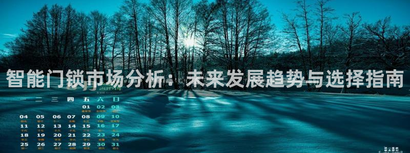 金年会是正规的吗：智能门锁市场分析：未来发展趋势与选择指南