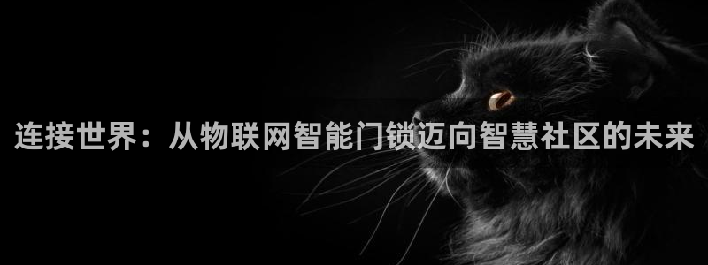 金 金年会：连接世界：从物联网智能门锁迈向智慧社区的未来