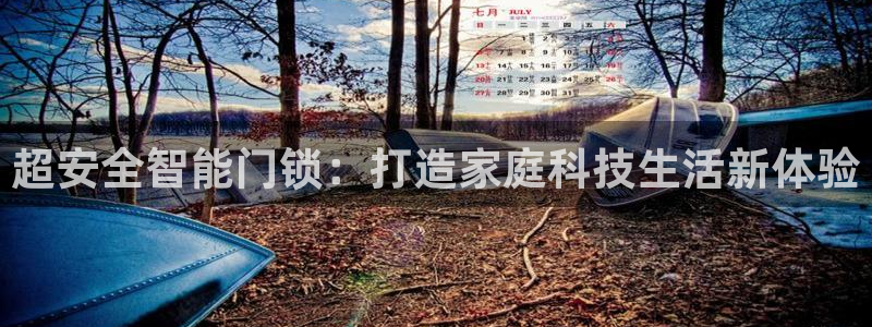 金年会彩票软件：超安全智能门锁：打造家庭科技生活新体验