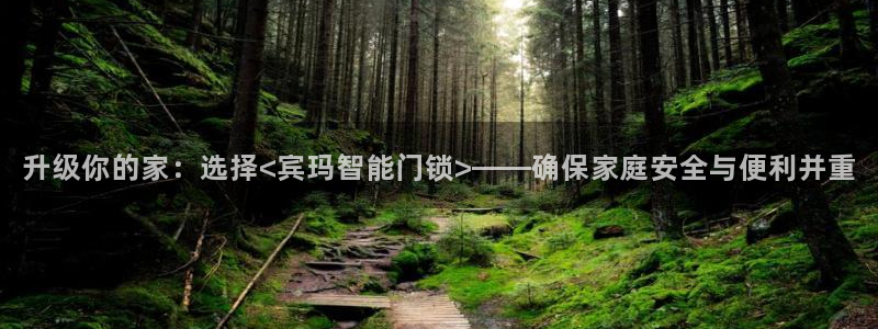 金年会下载：升级你的家：选择<宾玛智能门锁>——确保家庭安全