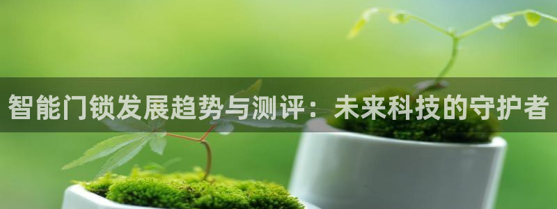 金年会最新下载：智能门锁发展趋势与测评：未来科技的守护者