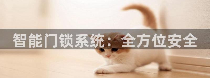 金年会官网：智能门锁系统：全方位安全