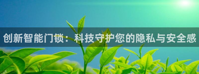 金年会手机app：创新智能门锁：科技守护您的隐私与安全感