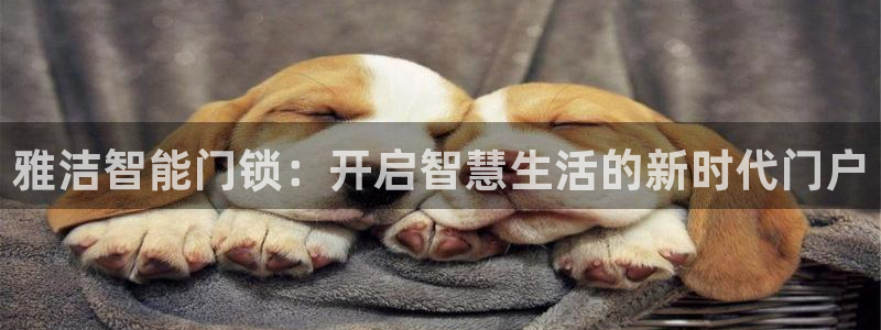 金年会取款
