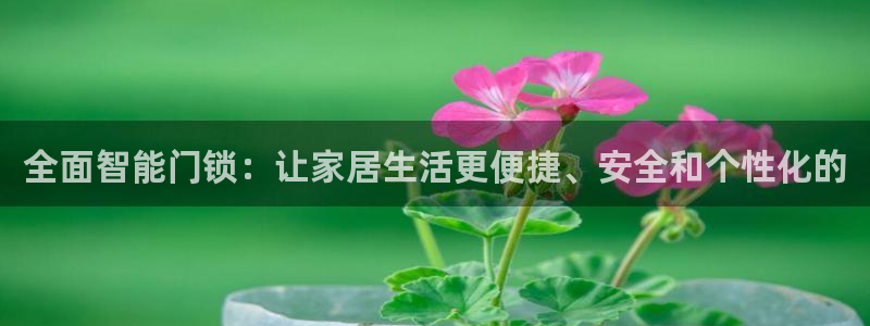 jinnian金年会：全面智能门锁：让家居生活更便捷、安全和