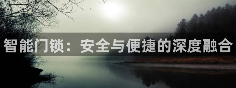 金年会手机网页登录：智能门锁：安全与便捷的深度融合