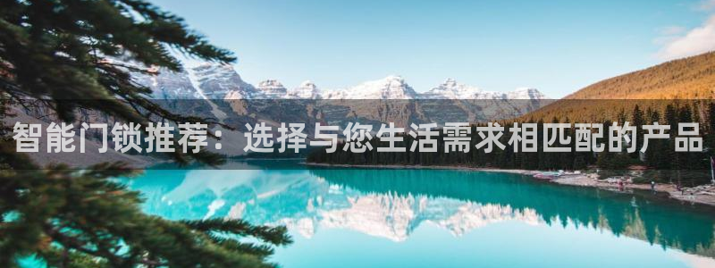 金年会体育官方网站：智能门锁推荐：选择与您生活需求相匹配的产