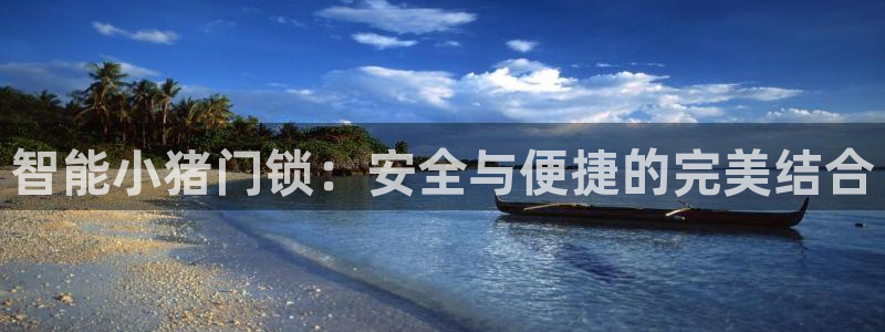 金年会6766001：智能小猪门锁：安全与便捷的完美结合