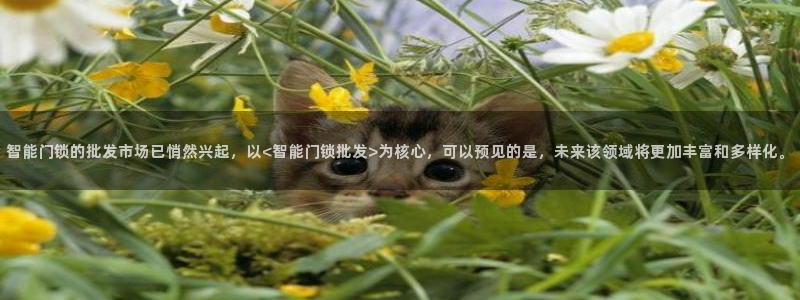 金年会网页：智能门锁的批发市场已悄然兴起，以<智能门锁批发>
