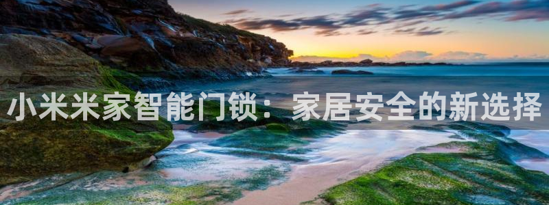 金年会娱乐：小米米家智能门锁：家居安全的新选择