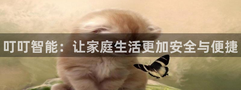 金哥年会：叮叮智能：让家庭生活更加安全与便捷