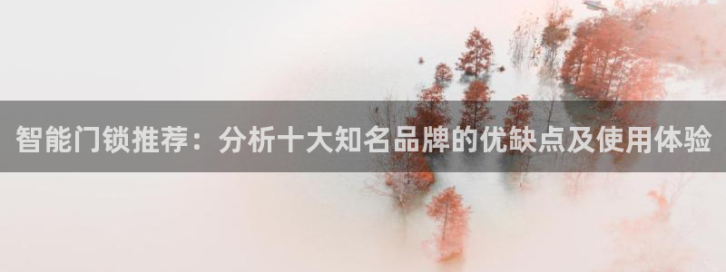 金年会推荐：智能门锁推荐：分析十大知名品牌的优缺点及使用体验