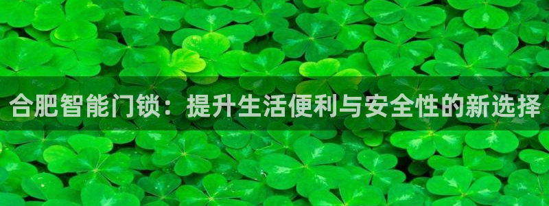 jinnianhui 金年会：合肥智能门锁：提升生活便利与安
