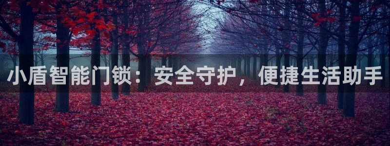 金年会电子游戏：小盾智能门锁：安全守护，便捷生活助手
