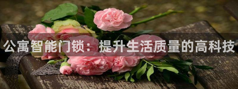 金吉年会：公寓智能门锁：提升生活质量的高科技