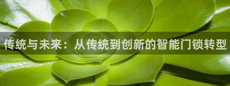 金年会 信誉至上：传统与未来：从传统到创新的智能门锁转型