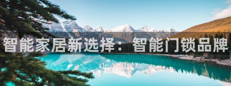 金年会 金字招牌：智能家居新选择：智能门锁品牌