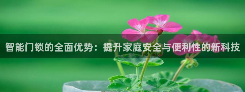 金年会平台登陆：智能门锁的全面优势：提升家庭安全与便利性的新