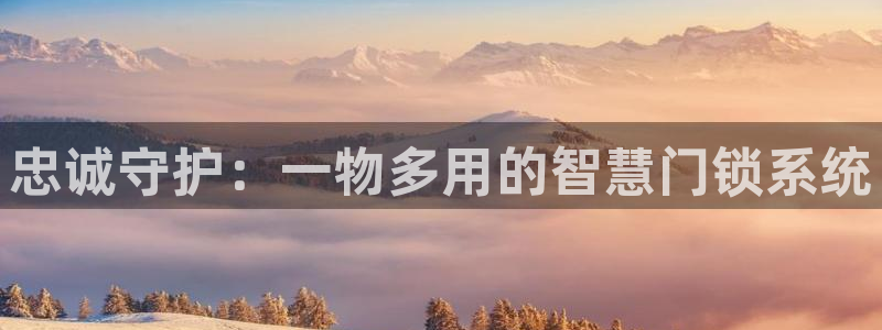 为什么搜索不了金年会：忠诚守护：一物多用的智慧门锁系统