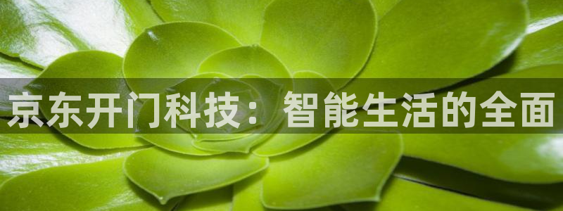 金年会体育平台官网：京东开门科技：智能生活的全面