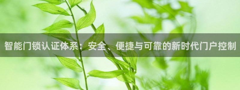 金年会最新登录网站：智能门锁认证体系：安全、便捷与可靠的新时