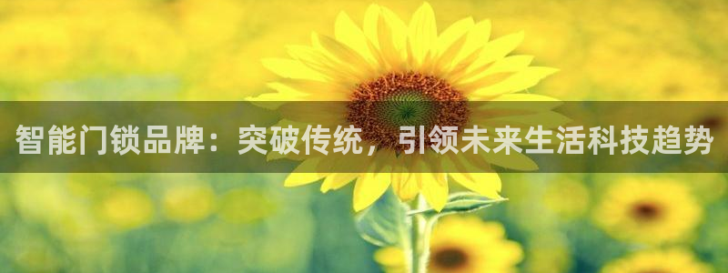 澳门金年会棋牌：智能门锁品牌：突破传统，引领未来生活科技趋势