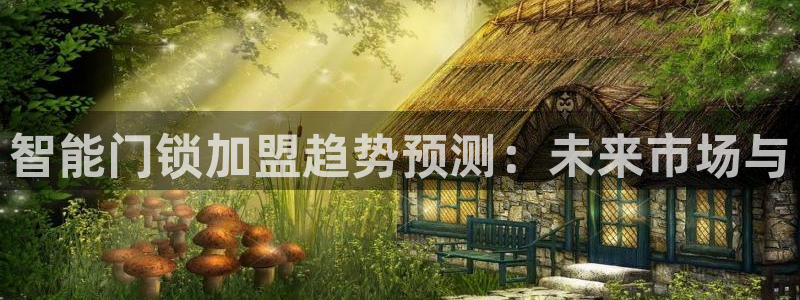 金年会最新下载：智能门锁加盟趋势预测：未来市场与