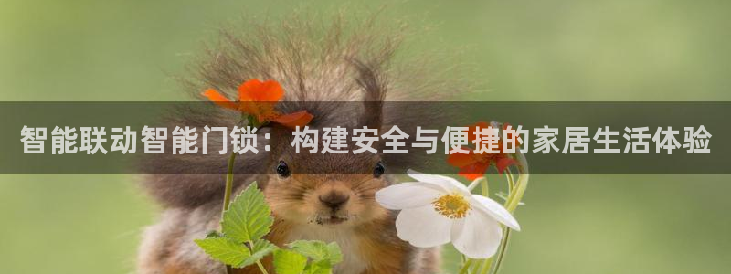 金年会网页登录：智能联动智能门锁：构建安全与便捷的家居生活体