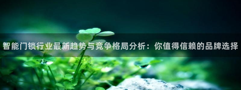 金年会最新官网：智能门锁行业最新趋势与竞争格局分析：你值得信