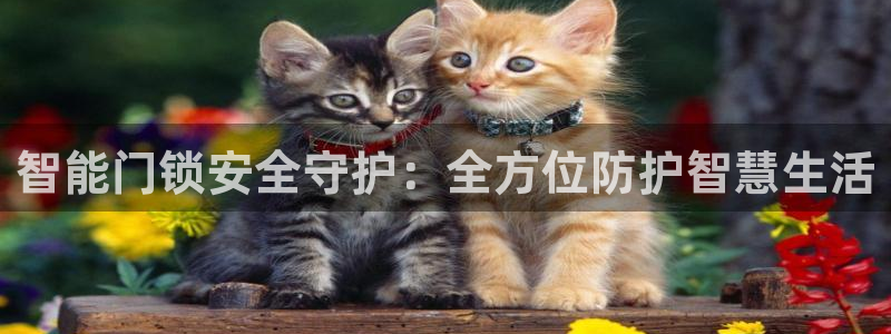 金年会官方网站下载：智能门锁安全守护：全方位防护智慧生活