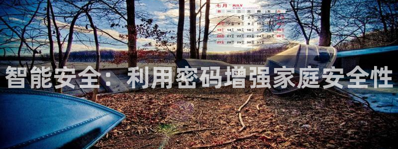 金年会官：智能安全：利用密码增强家庭安全性