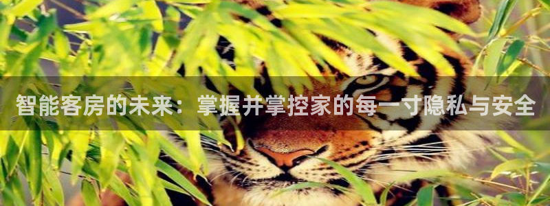jinnian金年会